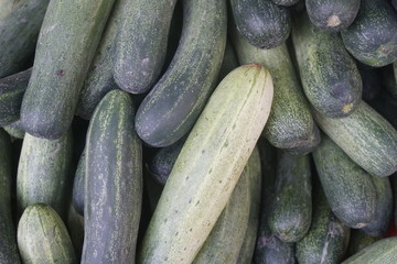 Cucumber harvest close up for patterns.