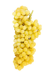 green grapes isolated on the white background