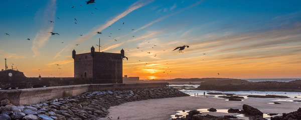 Panorama view sunset with flying seagull at Essaouira and view of the old Fort, Essaouira, Morocco.