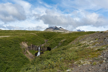 Svartifoss “The Black Waterfall” inside the fertile Skaftafell National Park