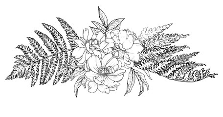 Horizontal composition of garden flowers, peonies and fern leaves, monochrome vector illustration