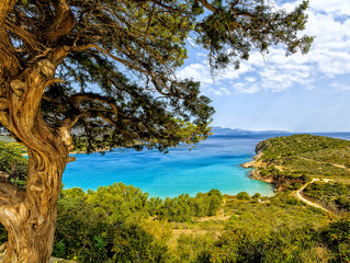 Panorama con albero e mare a Creta