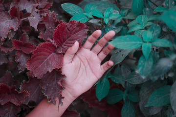 A guy holding sparkers.