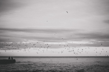 Черное море. Чайки. Настроение