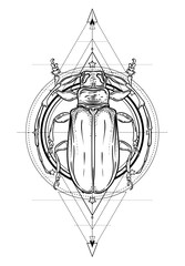 Black and white beetle over sacred geometry, isolated vector illustration. Tattoo sketch. Mystical symbols and insects. Alchemy, religion, occultism, spirituality, coloring book. Hand-drawn vintage.