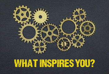 What inspires you?