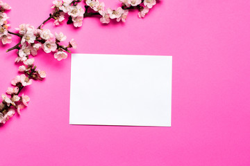 white envelope on a pink background. and in the upper corner lies a branch of a blossoming tree. place for text