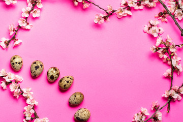 six quail eggs near flowering twigs arranged in a circle on a pink background. place for text.