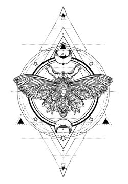 Black and white butterfly over sacred geometry sign, isolated vector illustration. Tattoo sketch. Mystical symbols and insects. Alchemy, occultism, spirituality, coloring book. Hand-drawn vintage.