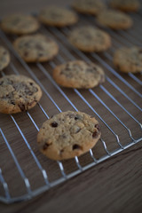 Cookies, Kekse auf Gitter