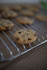 Cookies, Kekse auf Gitter