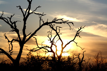 Fototapeta na wymiar Sonnenutergang im Swaziland