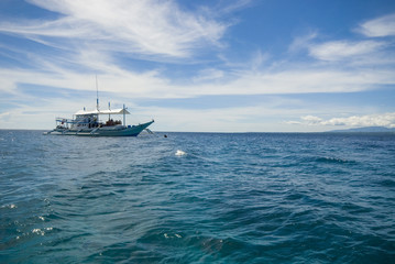 Boats parked n a green coast of tropical Apo Island, Philippines.