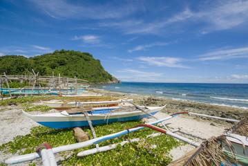 Boats parked n a green coast of tropical Apo Island, Philippines.