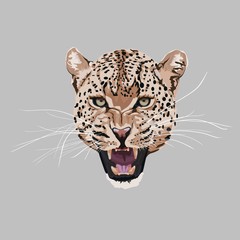 Graceful leopard Savana cat. Elegant poster, t-shirt composition element, hand drawn style print.  © Iuliia