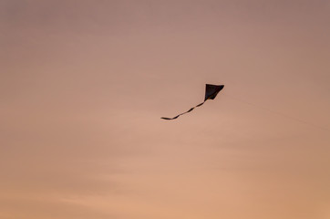 The International Kite Festival is regarded as one of the biggest festivals celebrated.
