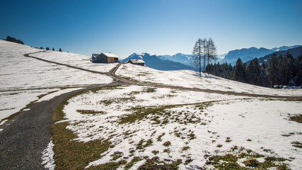 Frühling am Bödele in Vorarlberg