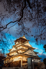 Golden Light Falling down to the Castle in the Evening, Japan