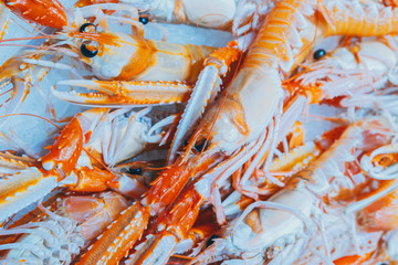 Obraz na płótnie Canvas Red Prawn, shrimp, shellfish, on market stall. Mediterranean seafood. Closeup colorful photo