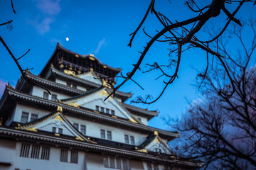 View to the Sunset Castle under Blue Sky and Trees, Japan