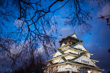 Fototapeta premium View to the Sunset Castle under Blue Sky and Trees, Japan