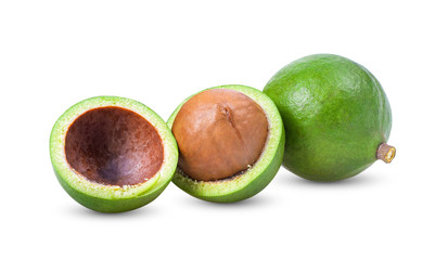 macadamia nuts isolated on white background
