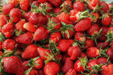 ripe strawberries close-up on a market counter