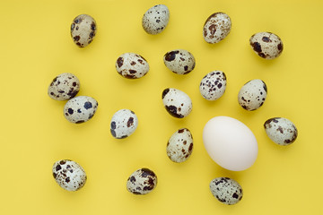 Chaotic pattern of easter eggs on a yellow background. Happy easter banner. One large white egg among small quail eggs