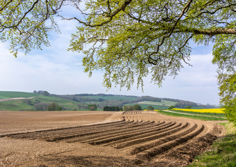 Fototapeta na wymiar Newly ploughed field