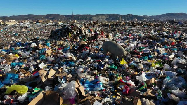 pullution by garbage waste and trash