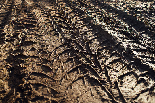  Truck tyre tread print on wet ground