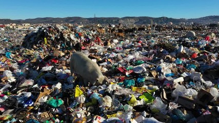 environmental pollution and plastic waste - Powered by Adobe