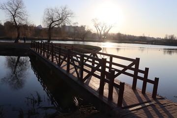 wooden lake pier in spring park