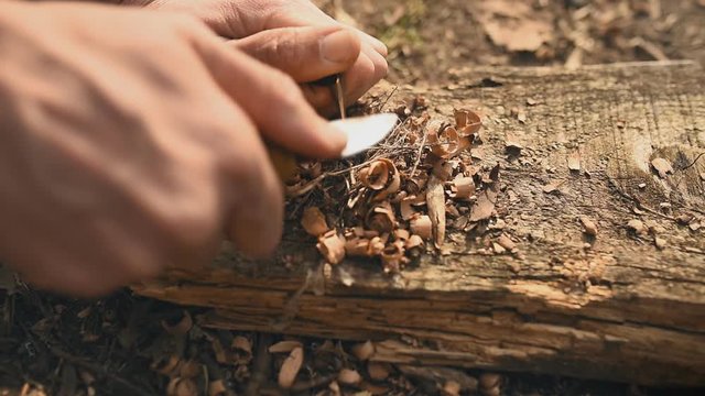 Starting campfire with flint, knife and tinder, close up