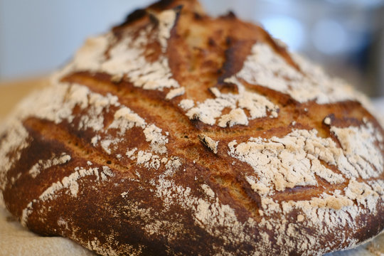 A loaf of sourdough bread baked at home