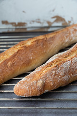 Freshly baked french baguette bread