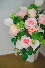 pink rose on pot decorate in room