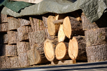 Stack of cut tree trunks with plastic sheet against rain on top lying in a garage entrance. Seen in Germany in March.