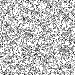Oriental Lilies. Monochrome seamless pattern of big flowers, leaves and buds of lilium. Hand-drawn collection. Black and white vector illustration.