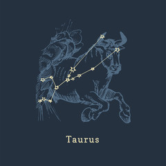 Zodiac constellation of Taurus in engraving style. Vector retro graphic illustration of astrological sign Bull. © vladayoung