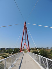 The bridge in the park