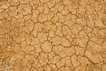 Nature background of cracked dry lands. Natural texture of soil with cracks. Broken clay surface of barren dryland wasteland close-up. Full frame to terrain with arid climate. Lifeless desert on earth