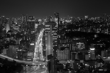 tokyo at night black and white monochrome - 334484872