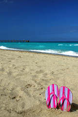 Fototapeta na wymiar Hot Pink Flip Flops on the Beach