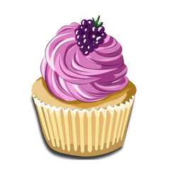 Food illustration - image of a cupcake on a white isolated background, with cream and cherry, blackberry in a basket 