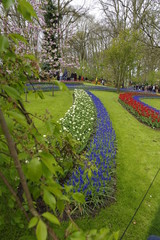 vacanza in Olanda Amsterdam e parco dei tulipani Keukenhof
