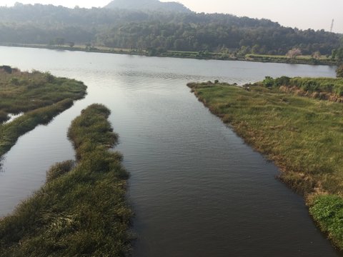 landscape with river