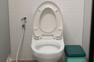 White toilet bowl seat.