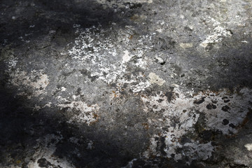 Fels mit Flechten, Steinhintergrund