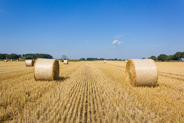 Fototapeta premium Heuballen im August